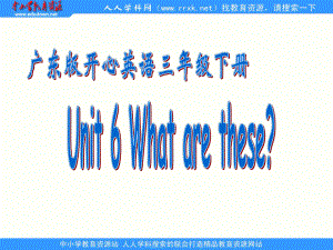 廣東版(開心)三下Unit 6 Wha are theseppt課件3