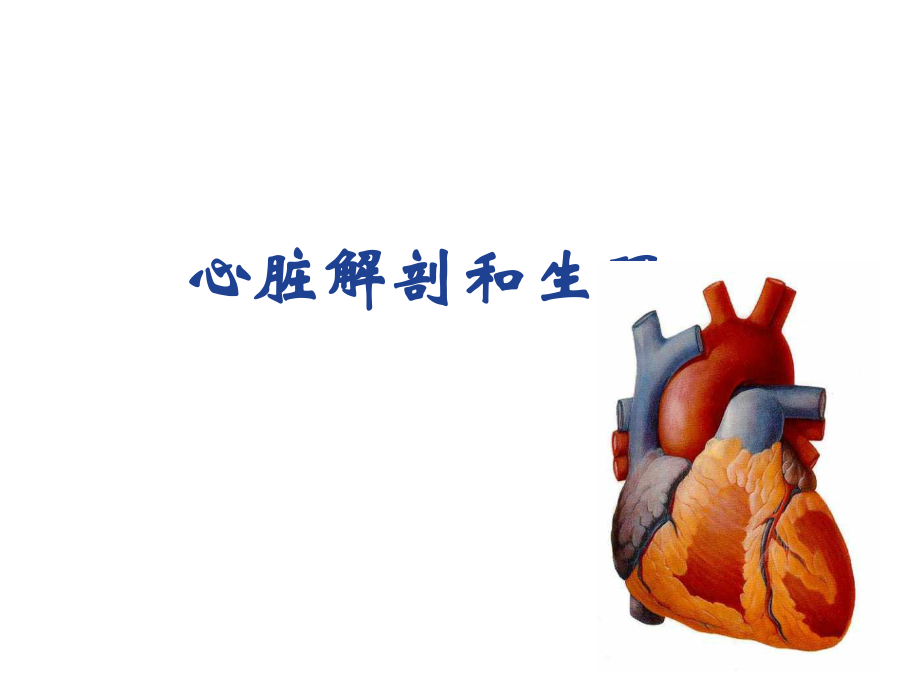医学课件心脏解剖和生理_第1页
