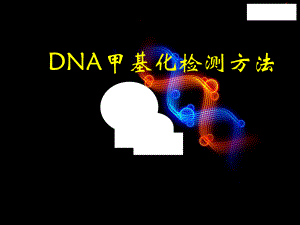 DNA甲基化检测方法