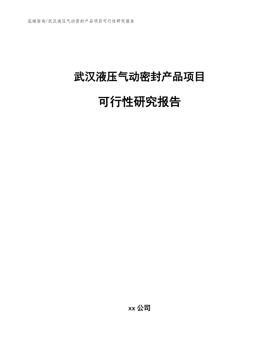 武汉液压气动密封产品项目可行性研究报告_范文参考_第1页