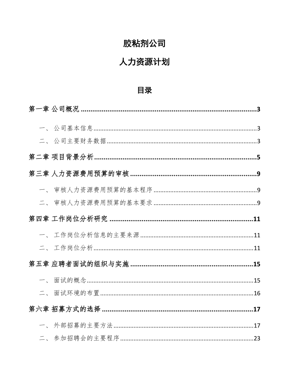 胶粘剂公司人力资源计划模板_第1页