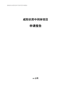咸阳农药中间体项目申请报告_范文模板