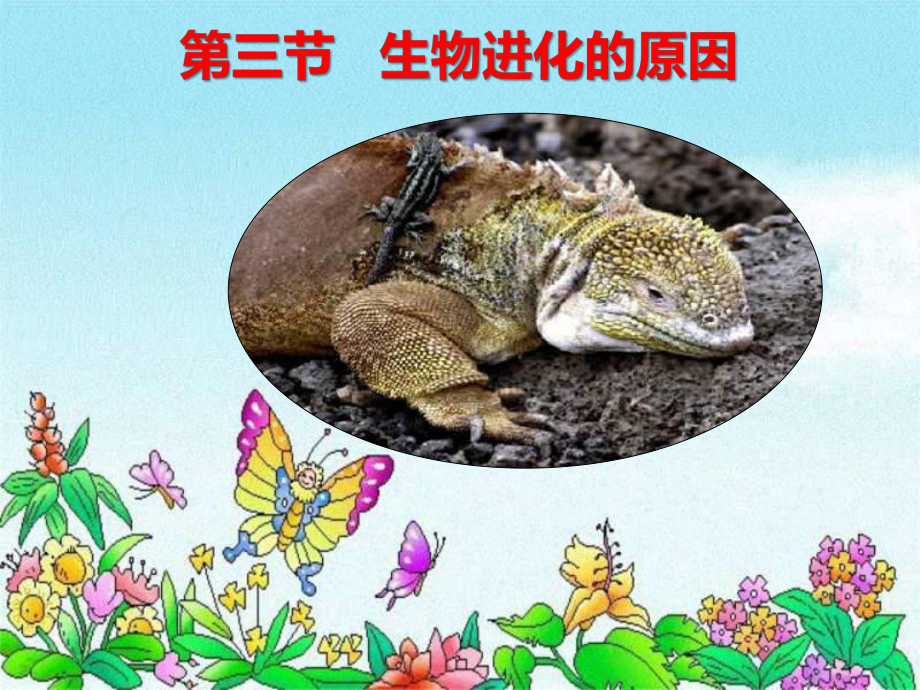 八年级生物生物进化的原因_第1页