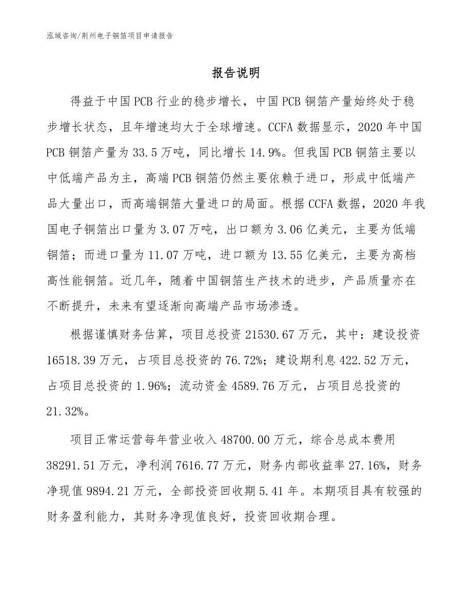 荆州电子铜箔项目申请报告（范文模板）_第1页