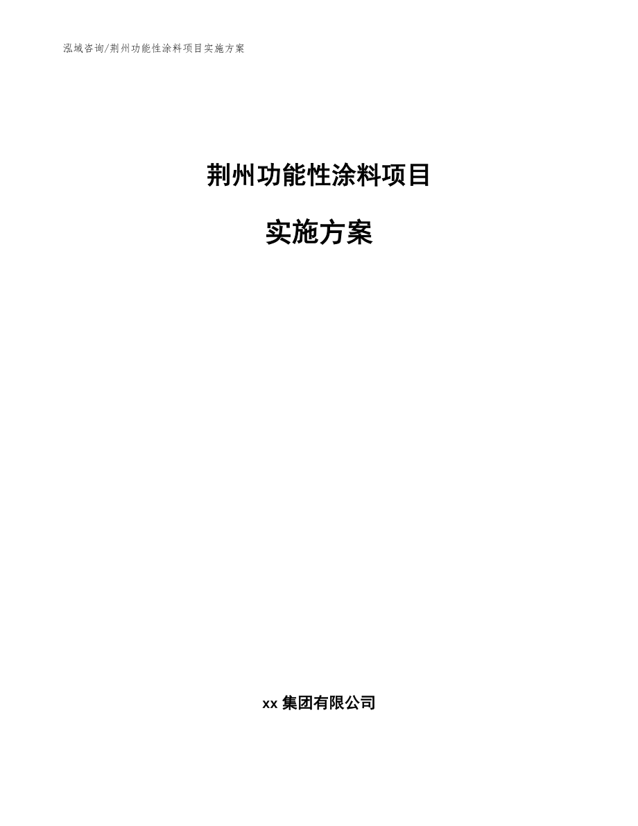 荆州功能性涂料项目实施方案（模板）_第1页