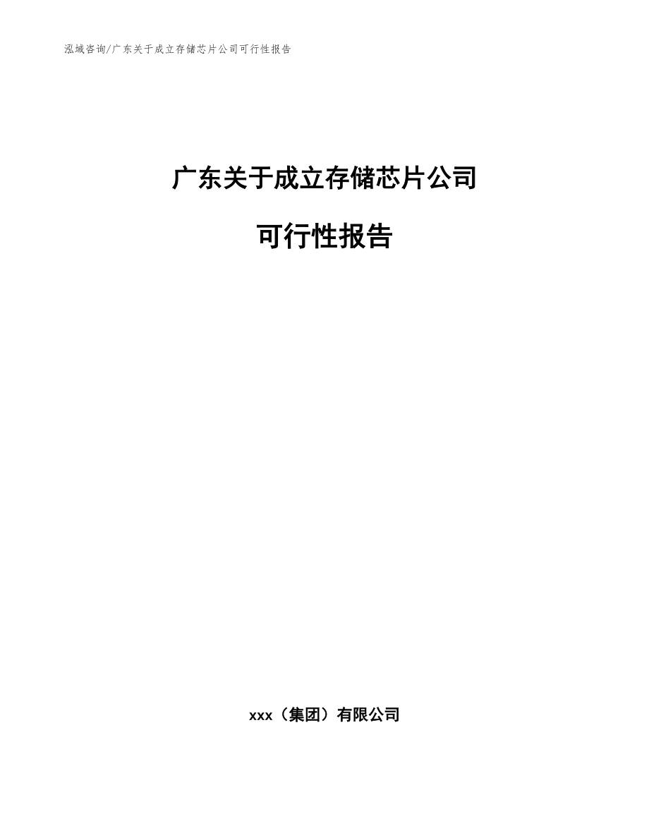 广东关于成立存储芯片公司可行性报告_范文模板_第1页