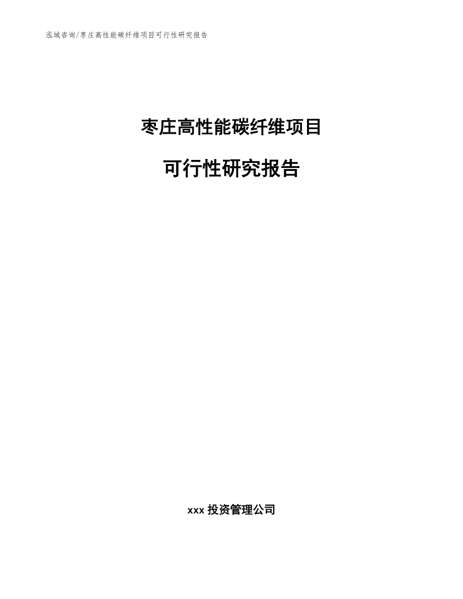 枣庄高性能碳纤维项目可行性研究报告【范文模板】_第1页