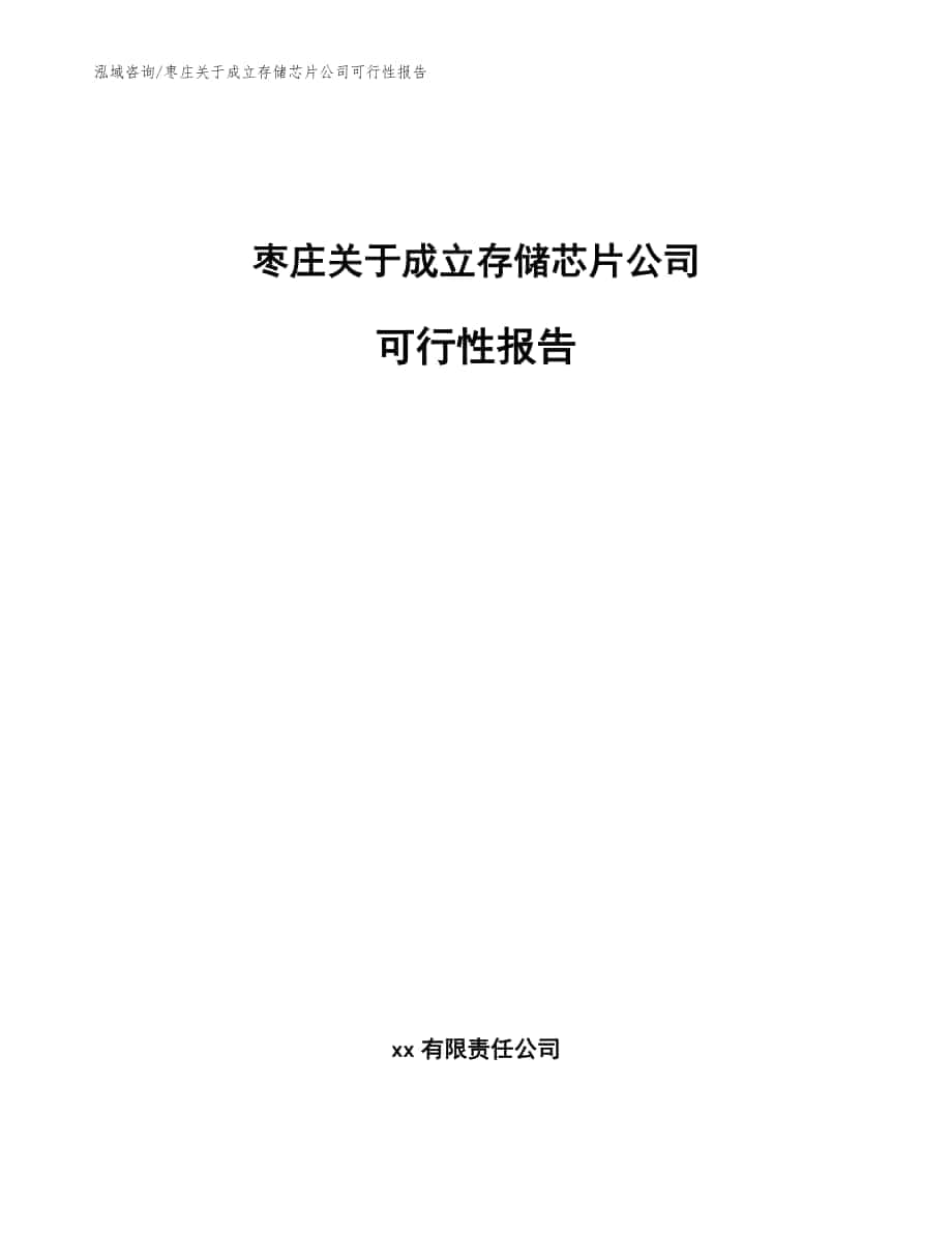 枣庄关于成立存储芯片公司可行性报告（范文）_第1页
