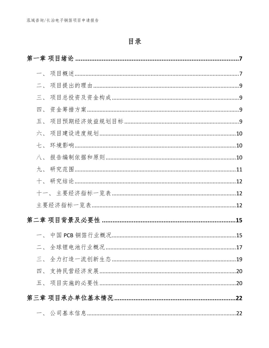 长治电子铜箔项目申请报告【参考范文】_第1页