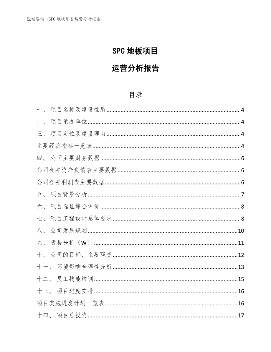 SPC地板项目运营分析报告（范文参考）_第1页