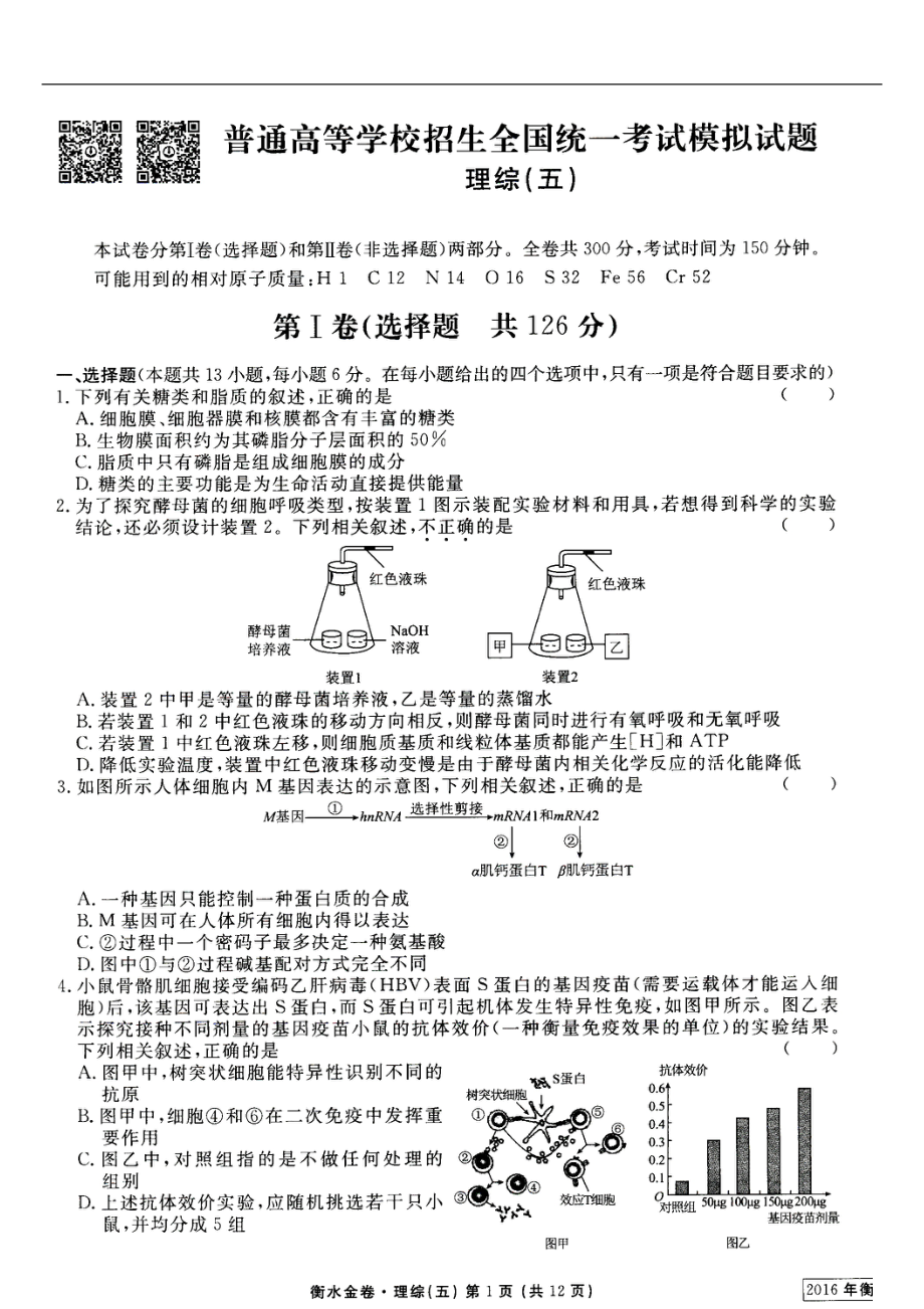 2016年 河北省衡水中學(xué)調(diào)研卷普通高等學(xué)校招生全國(guó)統(tǒng)一考試模擬試題理綜（五）（掃 描 版）_第1頁(yè)