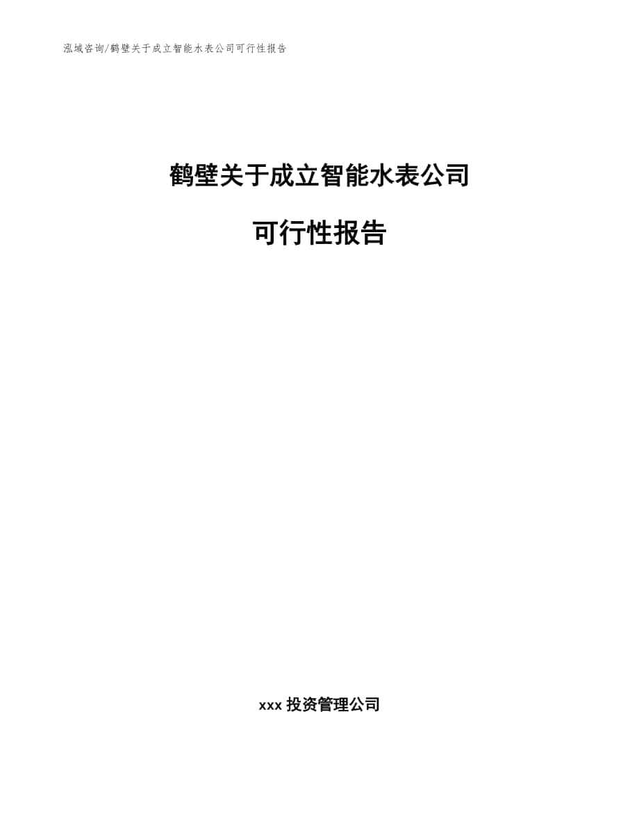 鹤壁关于成立智能水表公司可行性报告参考模板_第1页