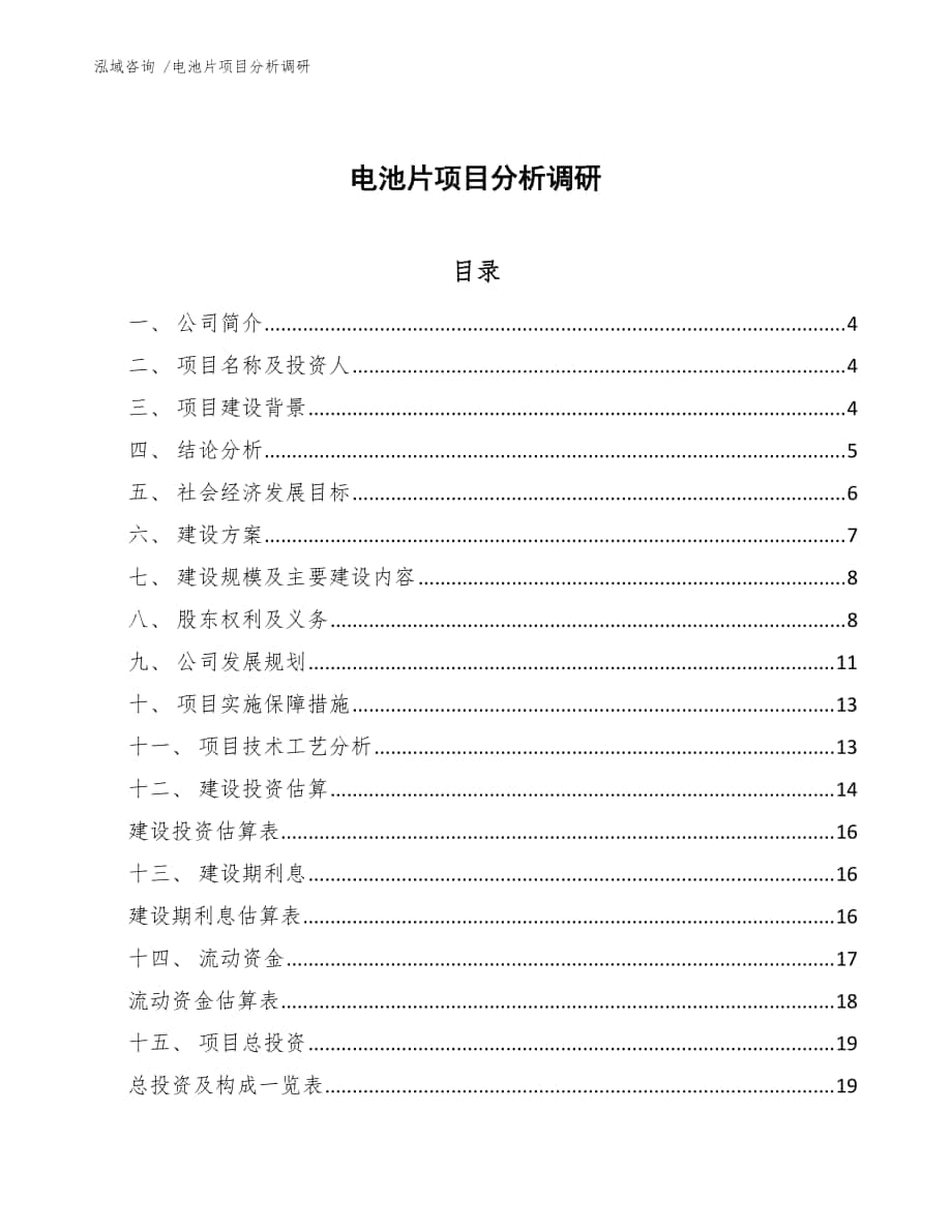 电池片项目分析调研（范文模板）_第1页