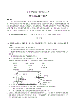 安徽省高三下學(xué)期聯(lián)考試題 理科綜合