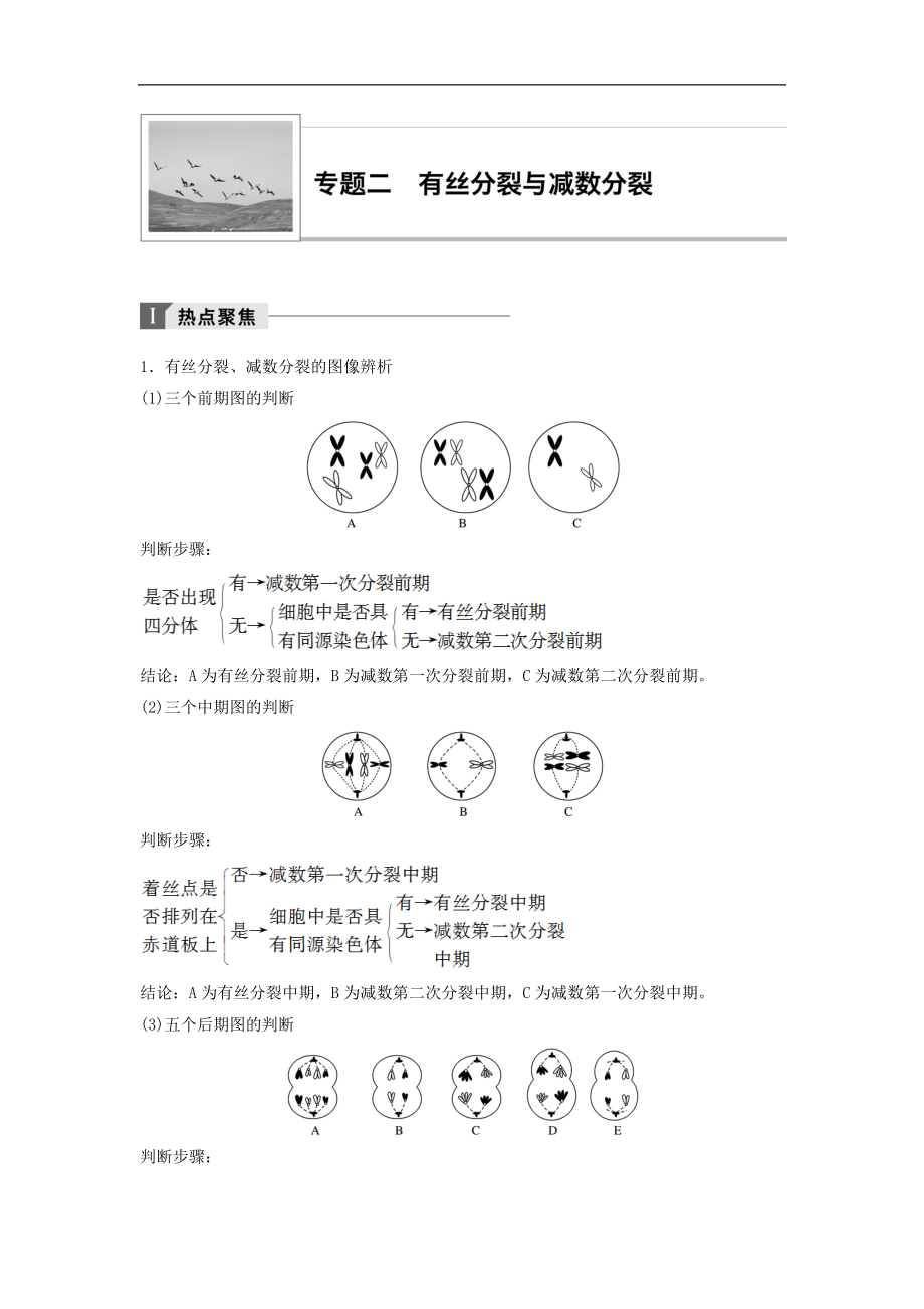 江蘇小高考生物講練稿熱點(diǎn)聚焦考向預(yù)測真題演練模擬達(dá)標(biāo)：專題二 有絲分裂與減數(shù)分裂 Word版含答案_第1頁