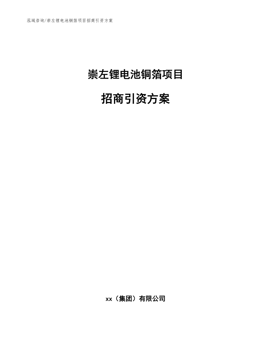 崇左锂电池铜箔项目招商引资方案（模板）_第1页