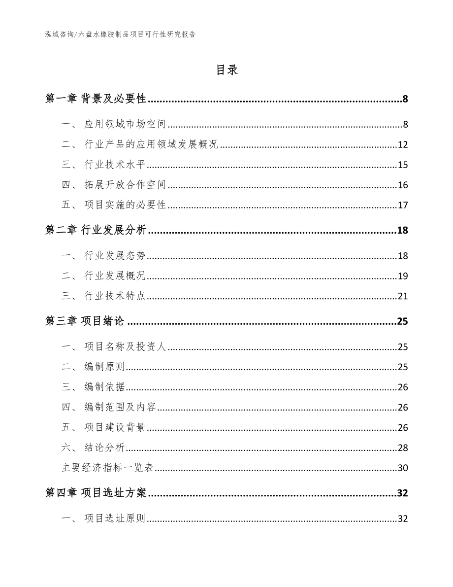 六盘水橡胶制品项目可行性研究报告_范文_第1页