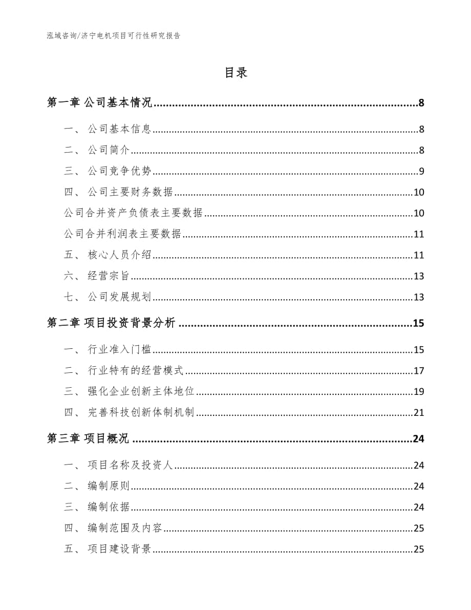 济宁电机项目可行性研究报告（范文模板）_第1页