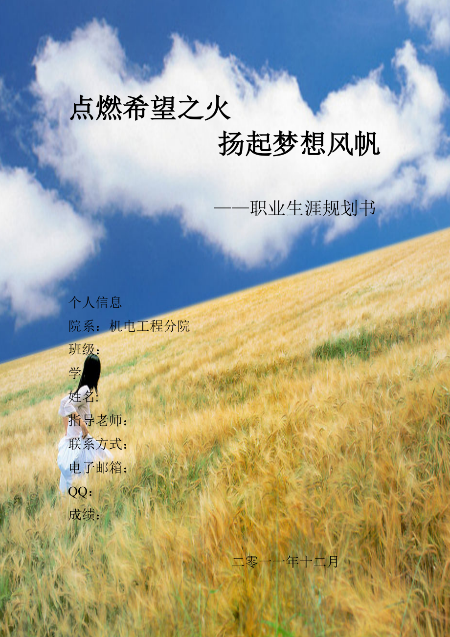 職業(yè)生涯規(guī)劃書 正稿_第1頁