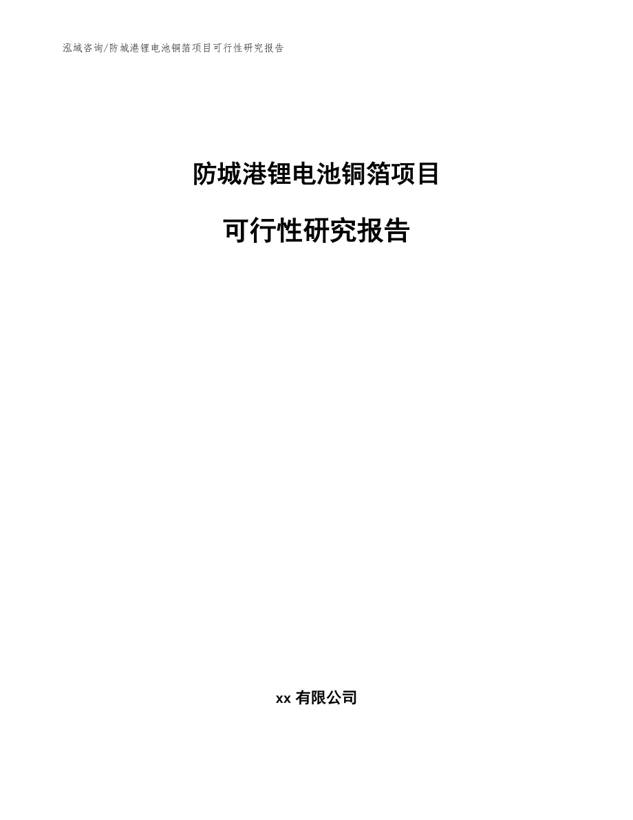 防城港锂电池铜箔项目可行性研究报告【范文】_第1页