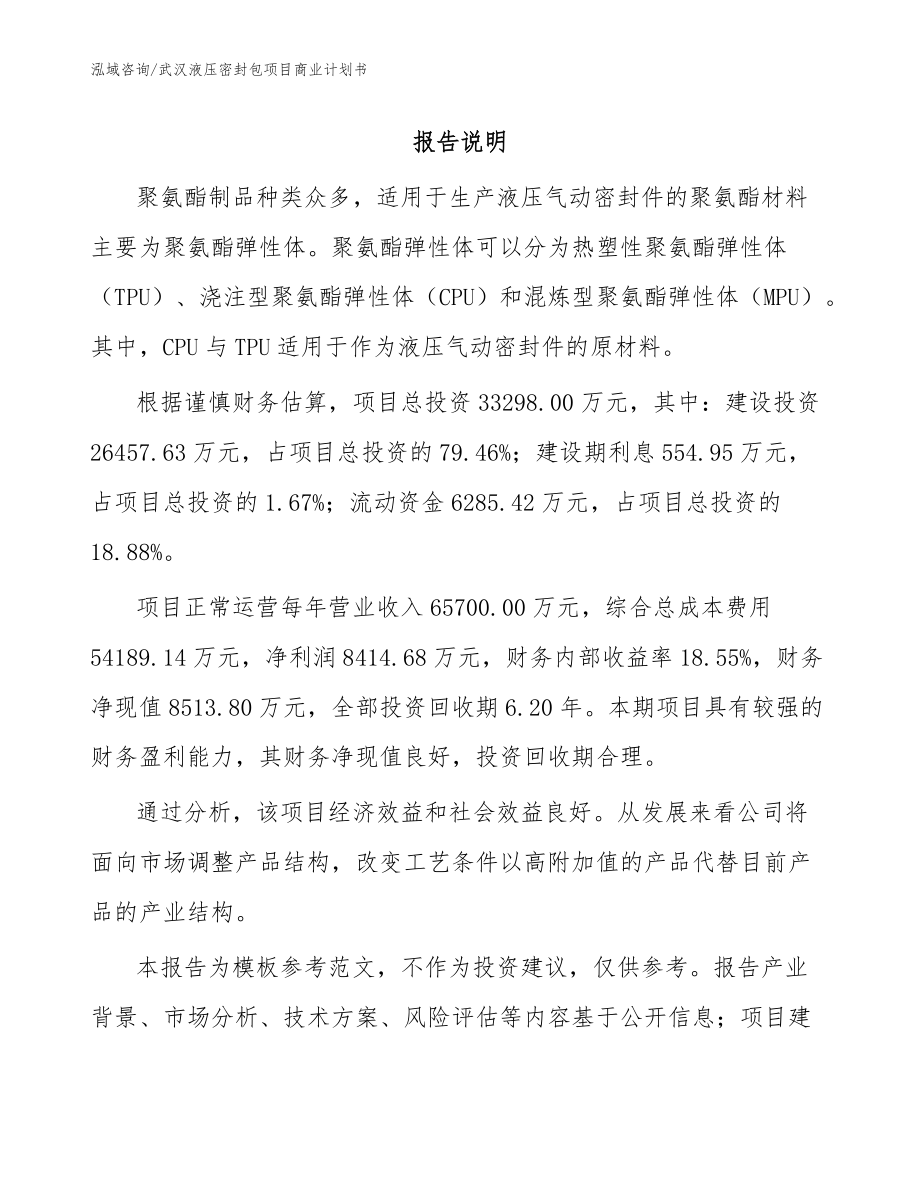 武汉液压密封包项目商业计划书模板_第1页