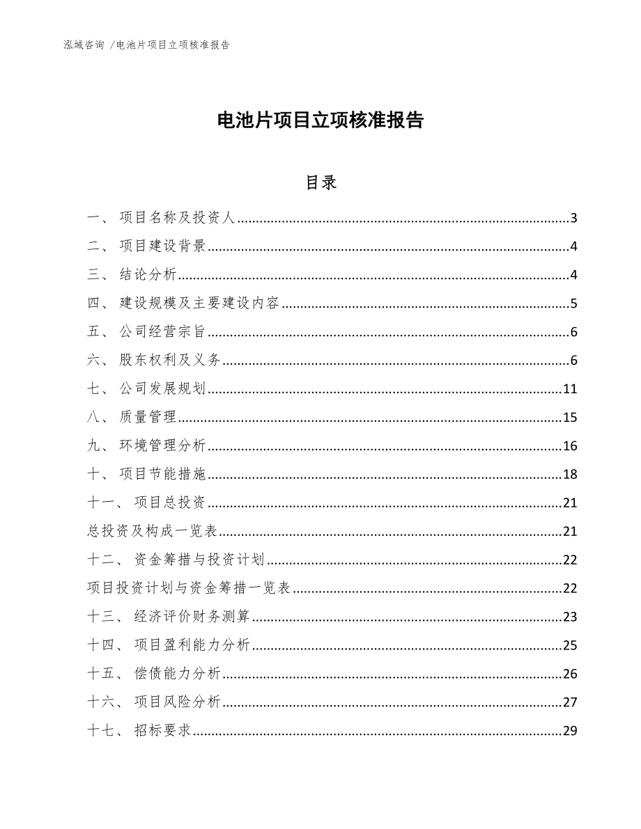 电池片项目立项核准报告（模板参考）_第1页