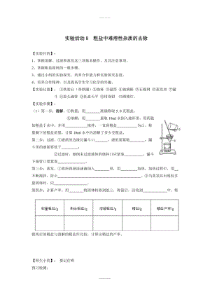 人教版九年級下化學(xué)學(xué)案 第九單元 溶液實驗活動8粗鹽中難溶性雜質(zhì)的去除