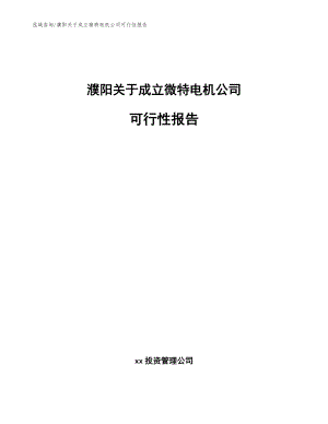 濮阳关于成立微特电机公司可行性报告【参考范文】