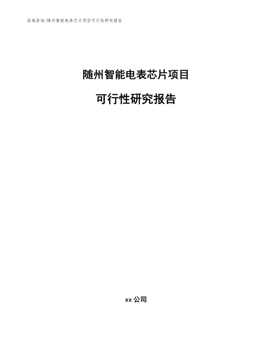 随州智能电表芯片项目可行性研究报告_范文模板_第1页