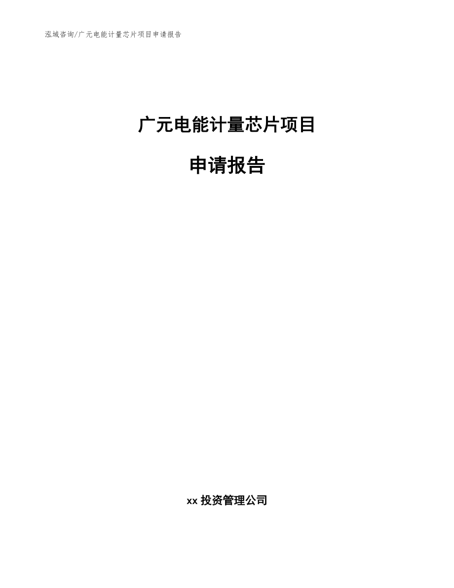 广元电能计量芯片项目申请报告（范文模板）_第1页