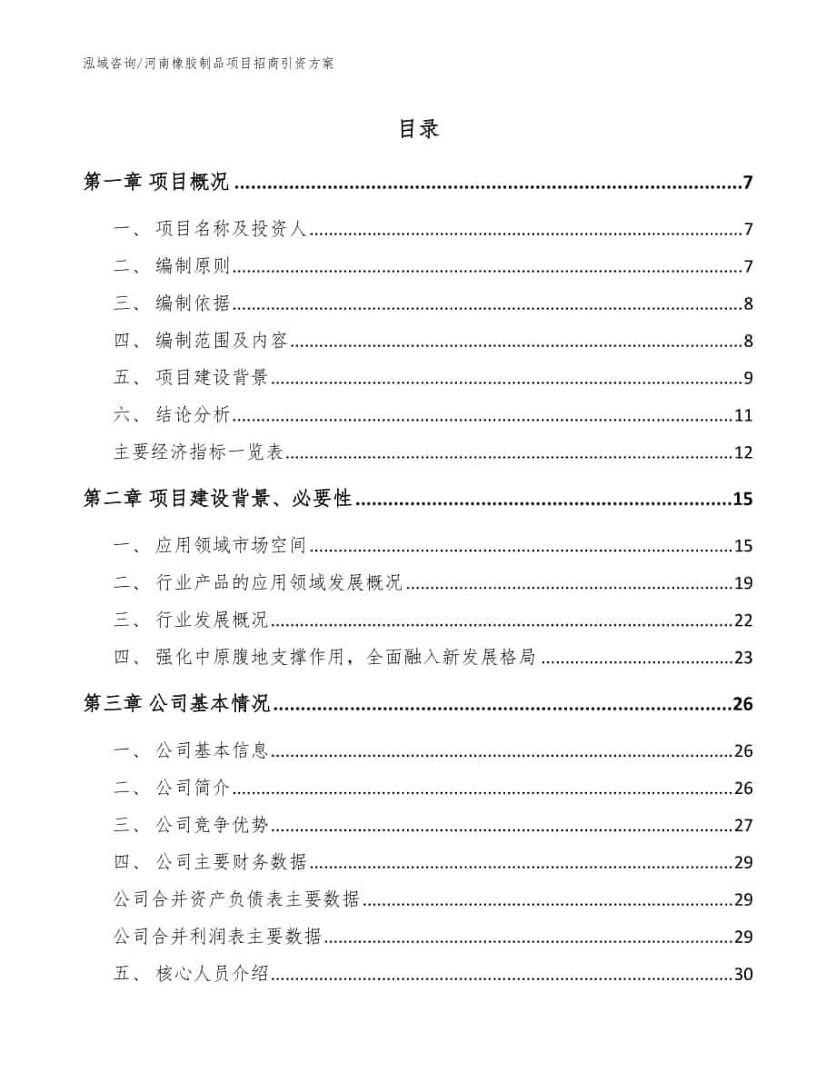 河南橡胶制品项目招商引资方案_模板范文_第1页