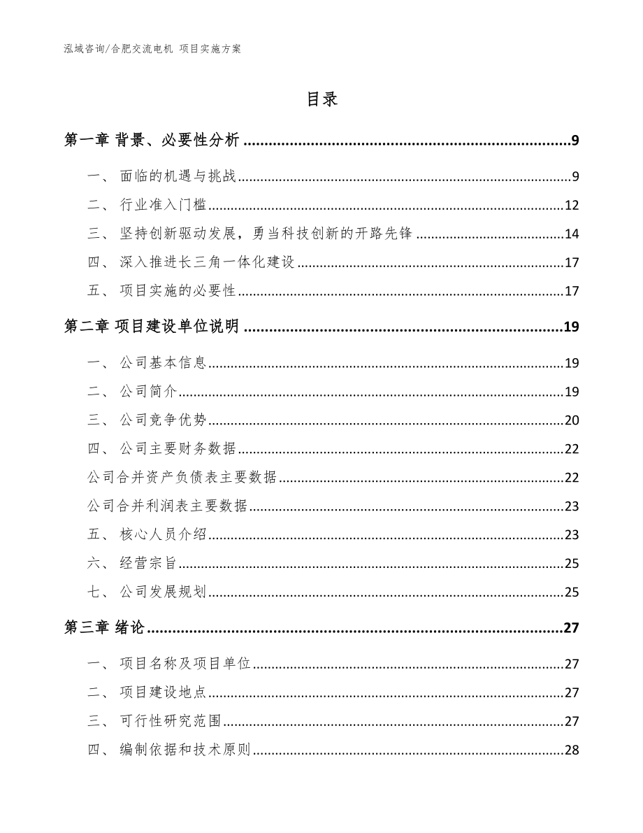 合肥交流電機 項目實施方案模板范本_第1頁