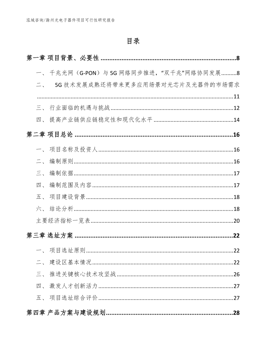 滁州光电子器件项目可行性研究报告_范文参考_第1页