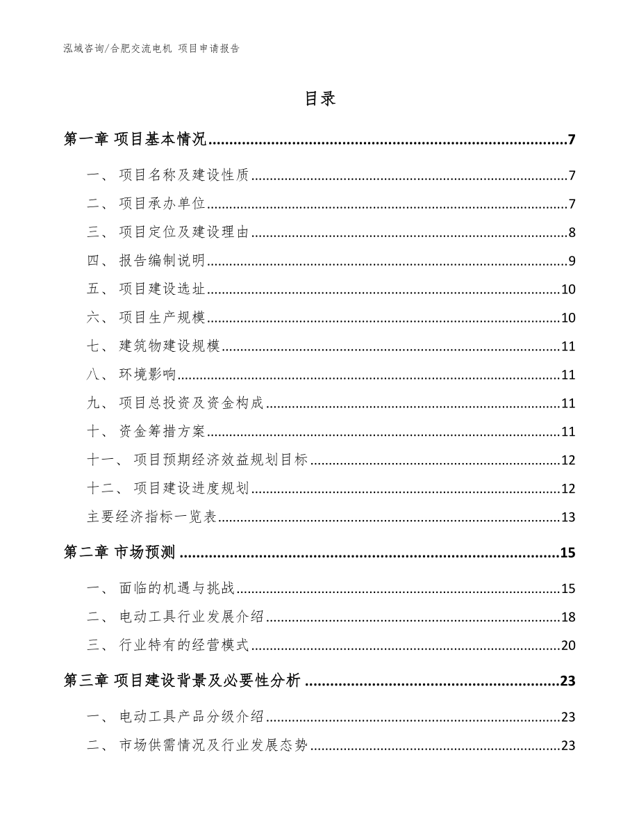 合肥交流电机 项目申请报告_参考模板_第1页