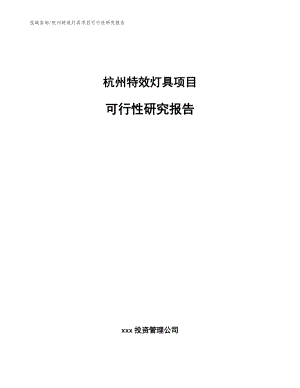 杭州特效灯具项目可行性研究报告（范文）