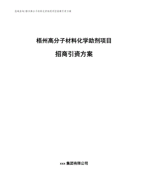 梧州高分子材料化学助剂项目招商引资方案模板