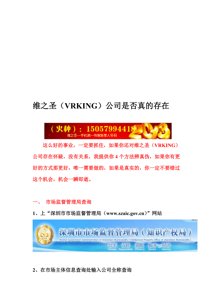 维之圣VRKING公司工商登记资料_第1页