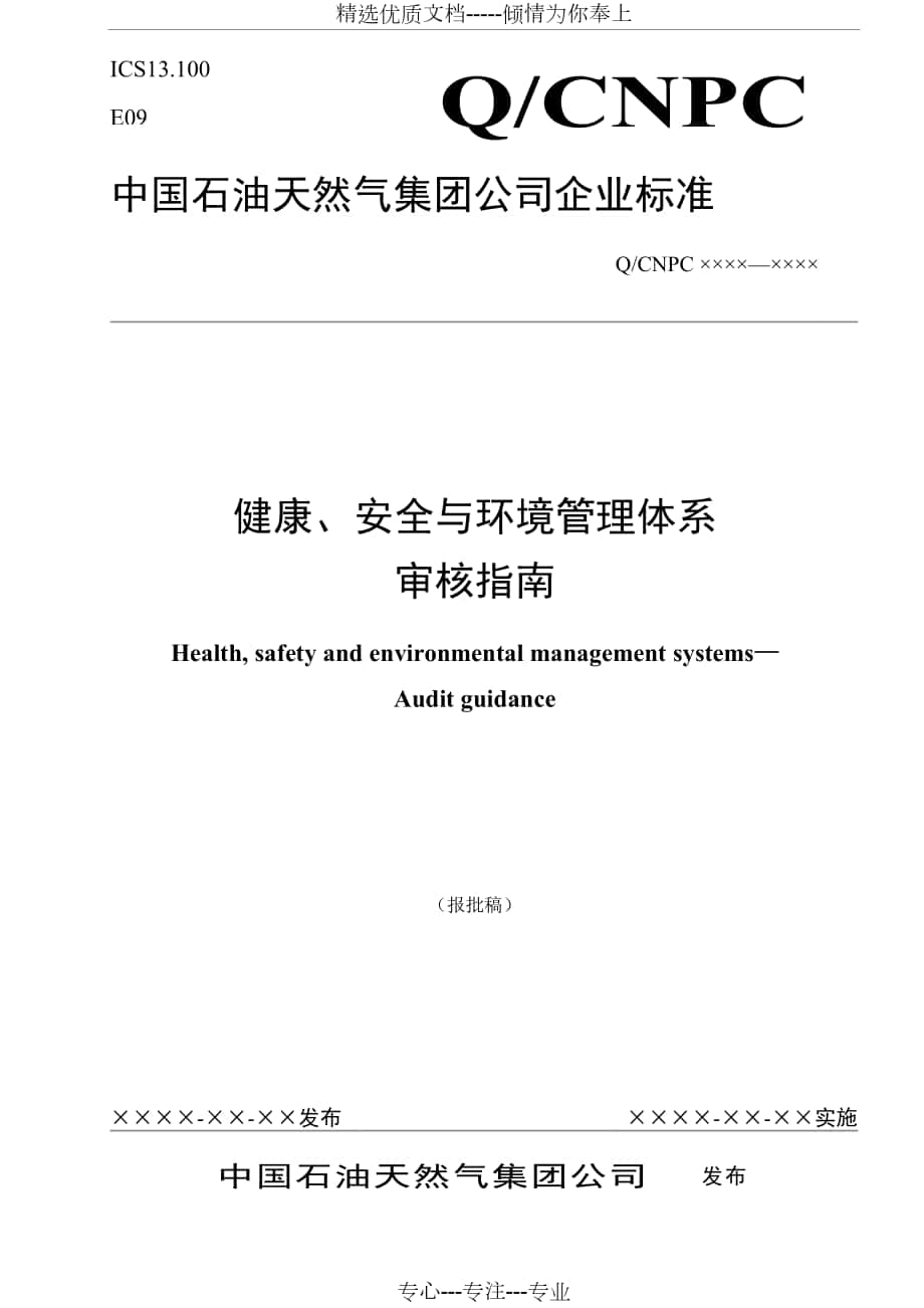 HSE管理体系审核指南第十稿(报批稿)_第1页
