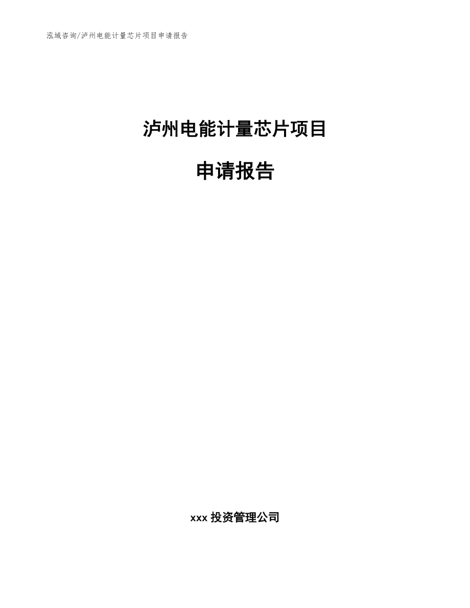 泸州电能计量芯片项目申请报告【范文模板】_第1页