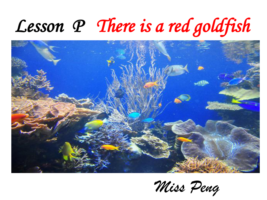 新路径英语第八册Lesson-P-There-is-a-red-goldfish_第1页