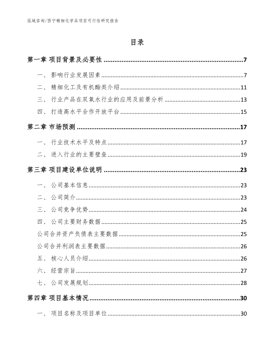 西宁精细化学品项目可行性研究报告【参考模板】_第1页