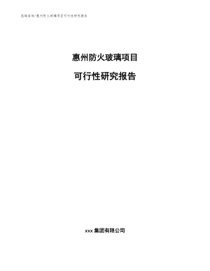 惠州防火玻璃项目可行性研究报告（参考范文）