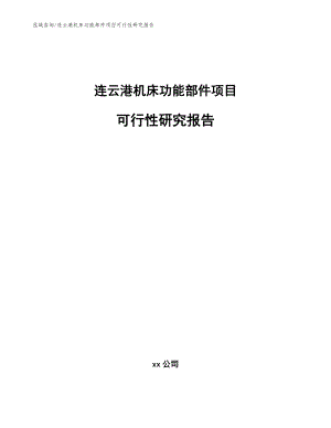 连云港机床功能部件项目可行性研究报告（模板参考）