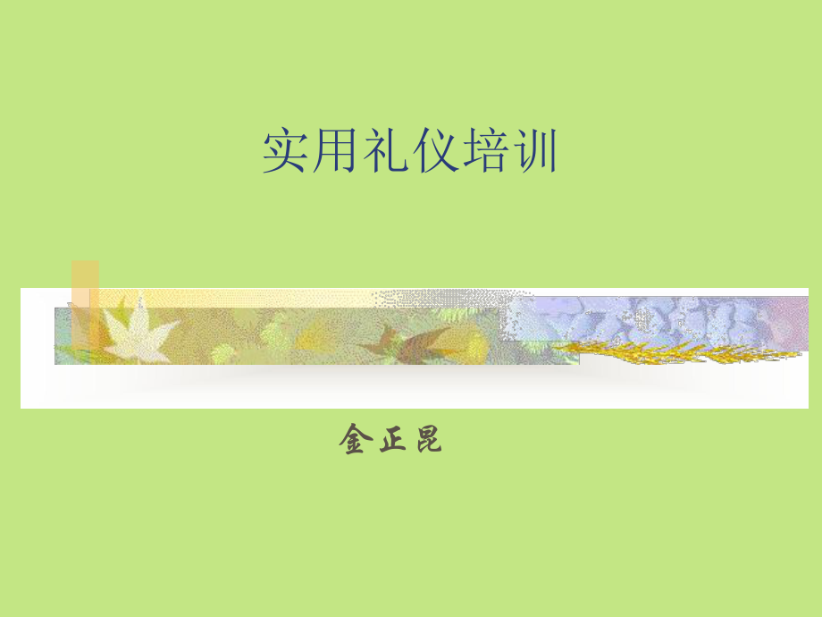 實用禮儀培訓(xùn)教材(PPT 42頁)_第1頁