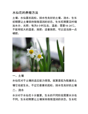 水仙花的养殖方法