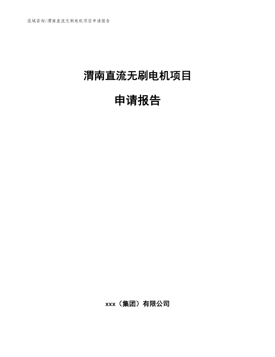 渭南直流无刷电机项目申请报告（范文模板）_第1页