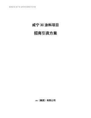 咸宁3C涂料项目招商引资方案模板范本