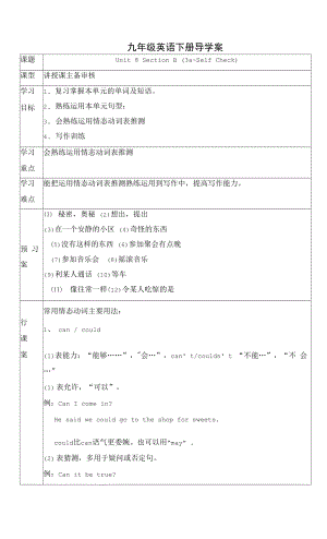 Unit 8 Section B （3a-Self Check）導(dǎo)學(xué)案 人教版九年級(jí)英語(yǔ)全冊(cè).docx