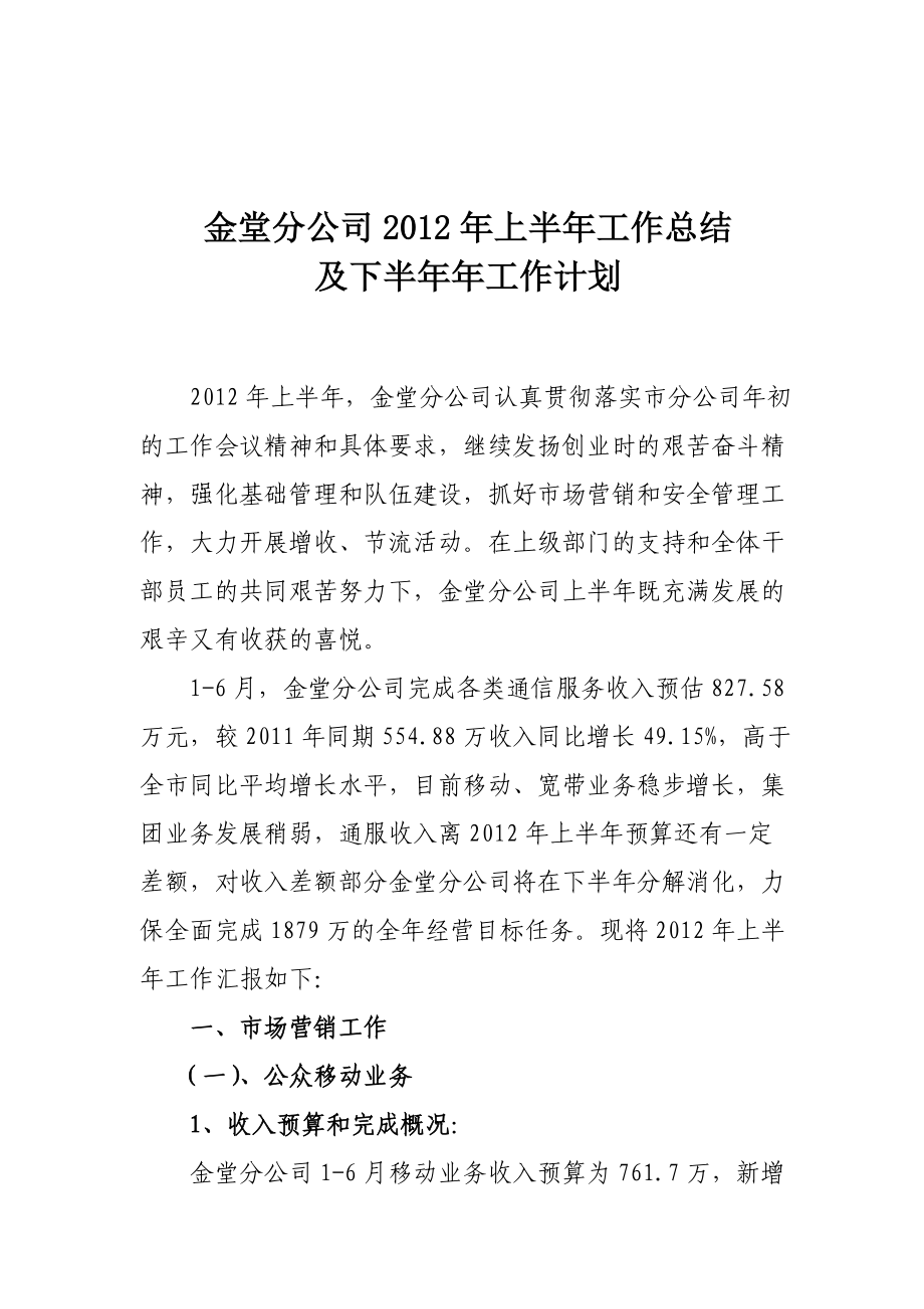 中国联通金堂分公司上半年工作总结及下半年工作计划.7.5_第1页