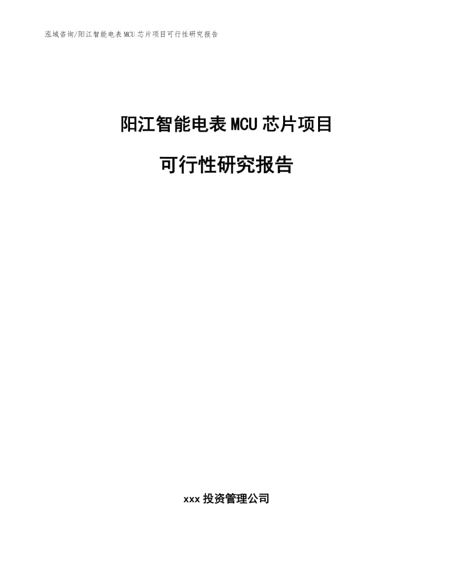 阳江智能电表MCU芯片项目可行性研究报告【参考模板】_第1页